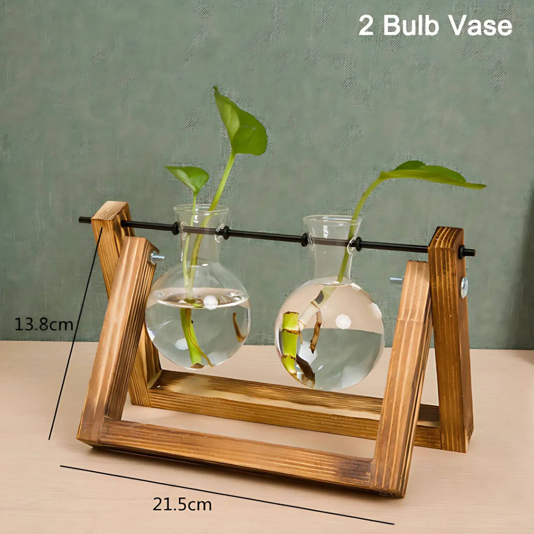 Small Hydroponic Plants Vases with Wooden Stand As shown 1 Flower Vase