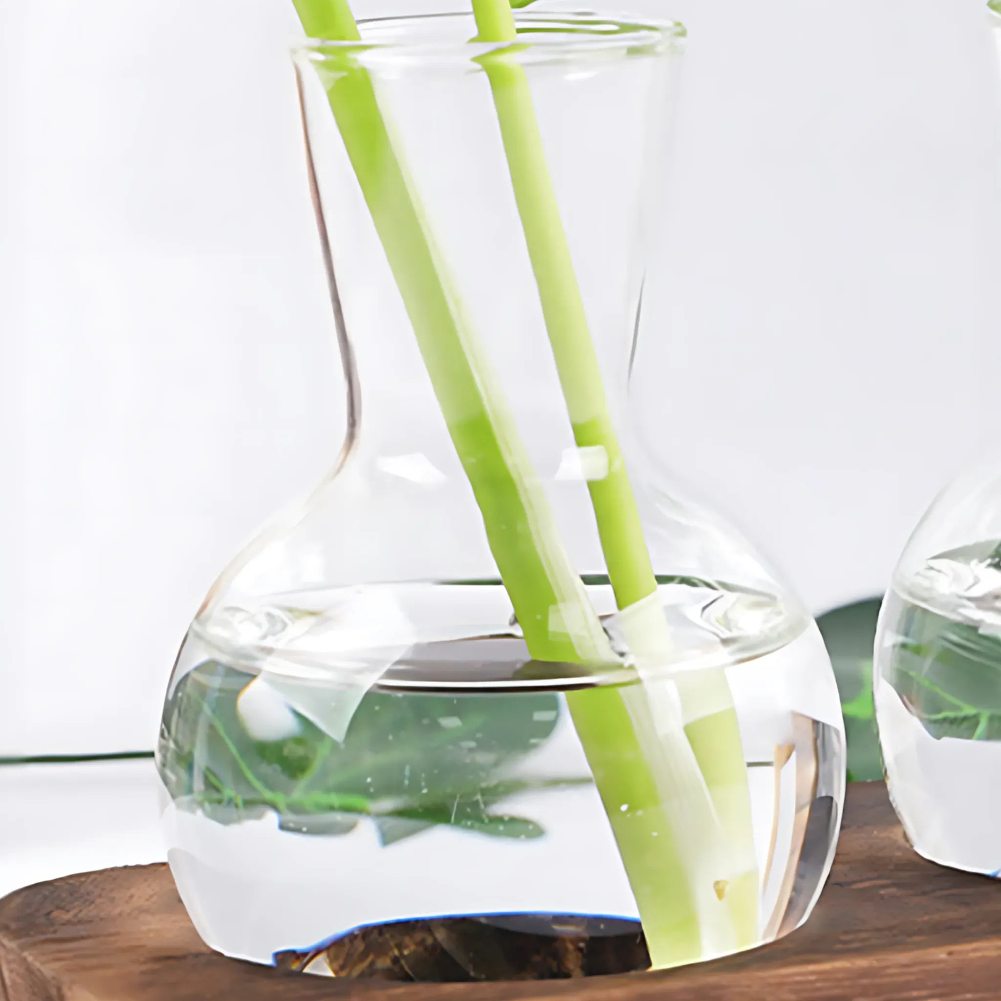 Small Hydroponic Plants Vases with Wooden Stand Flower Vase