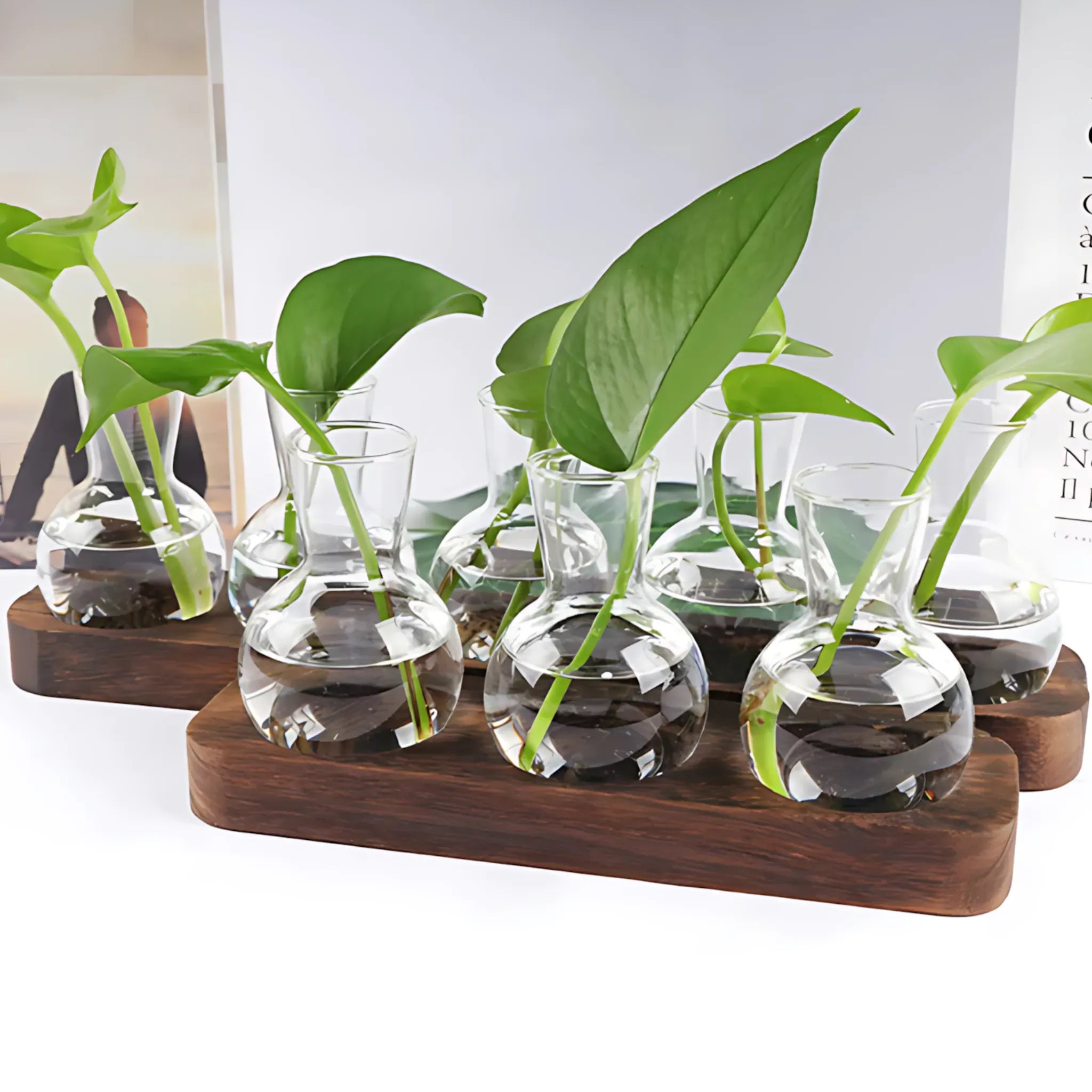 Small Hydroponic Plants Vases with Wooden Stand Flower Vase