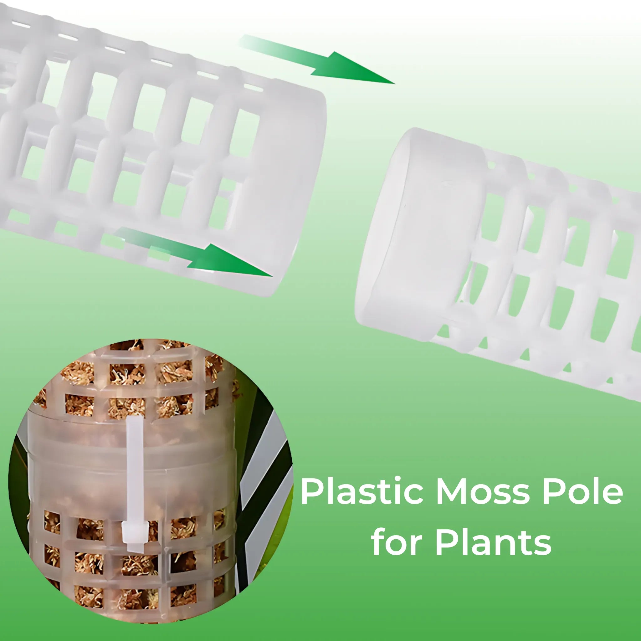 Sphagnum Moss Pole Plant Support