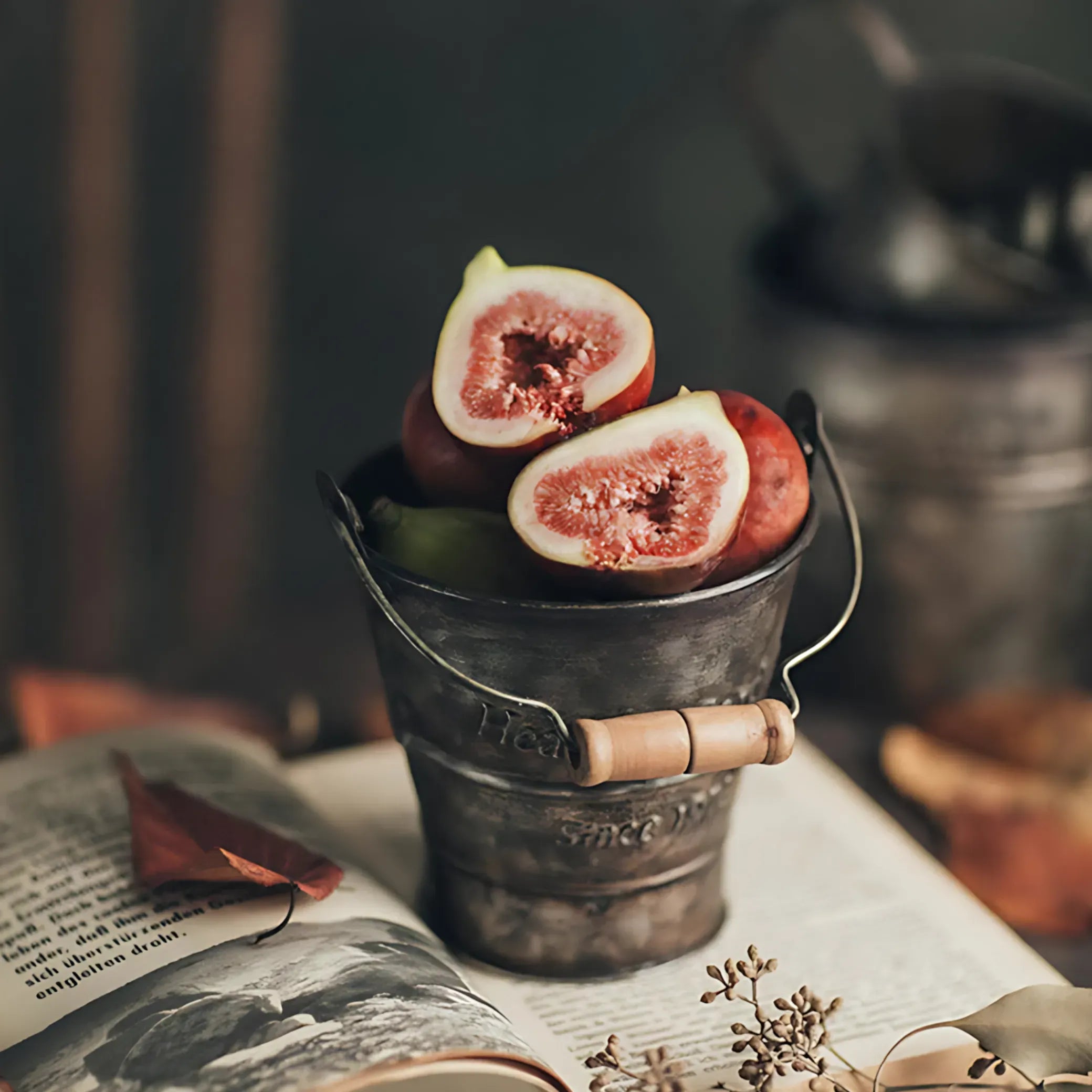 Vintage Iron Bucket Iron Bucket