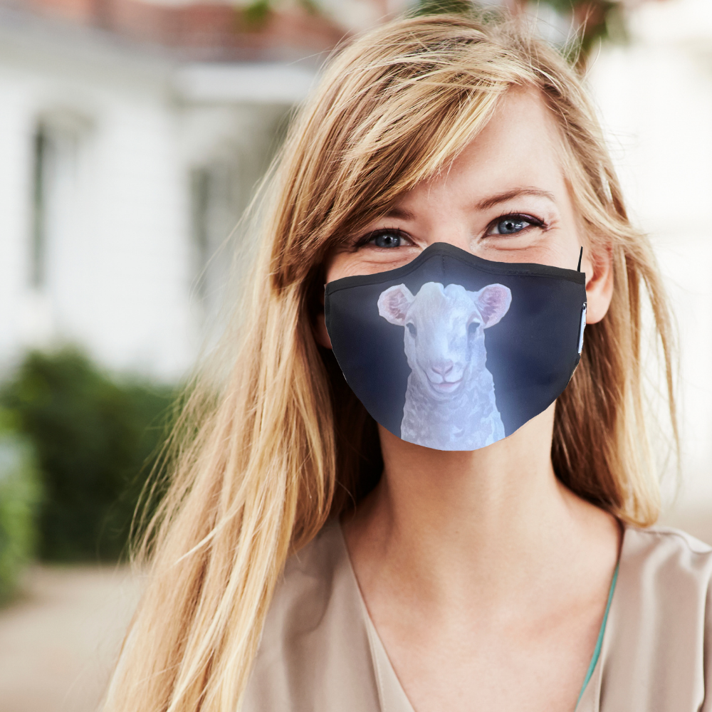 face mask with filter pocket