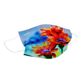 Medical Grade Face Masks