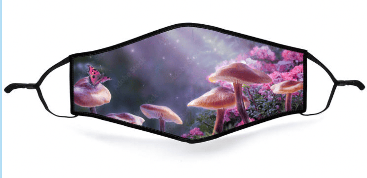 Child Face Mask Reusable | Washable Cloth Face Mask with Filter Pocket and two 2.5 Filters- Fairyland Face masks