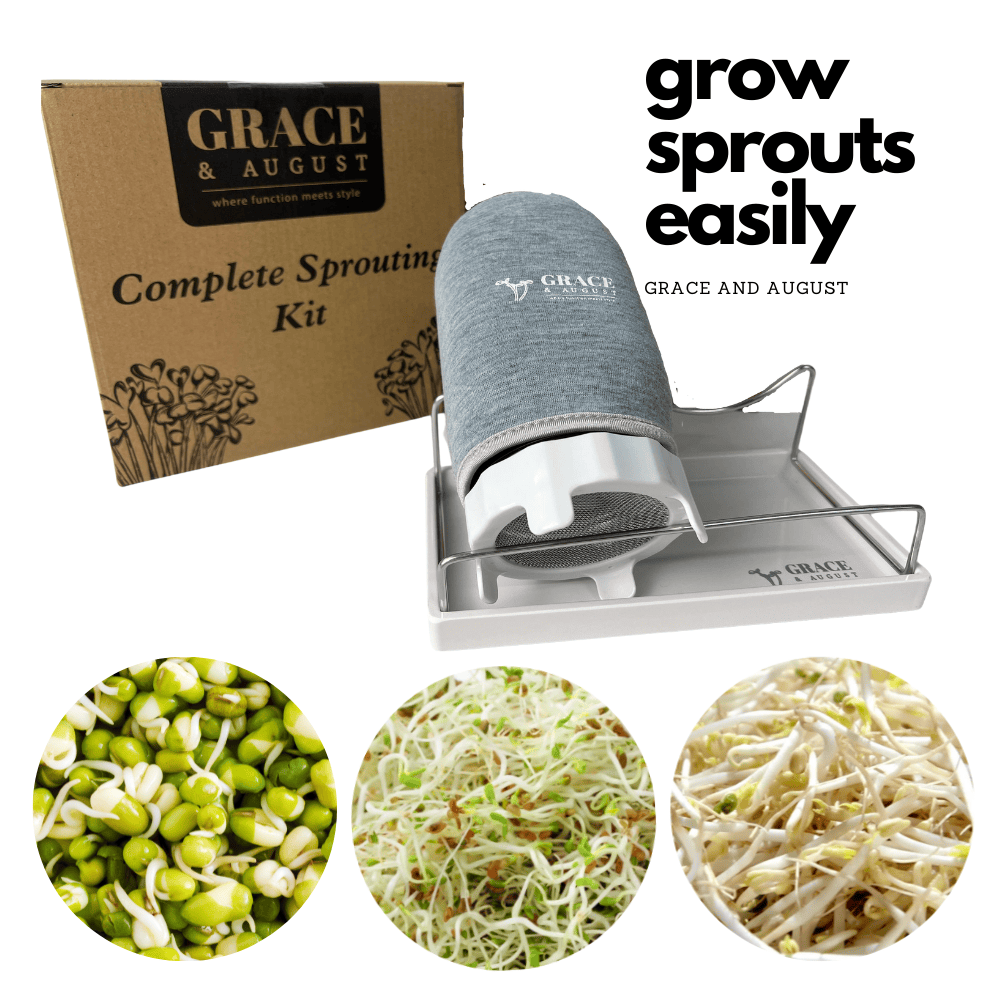Complete Sprouting Kit - Just add your own seeds - MISSING TRAY Sprout Set
