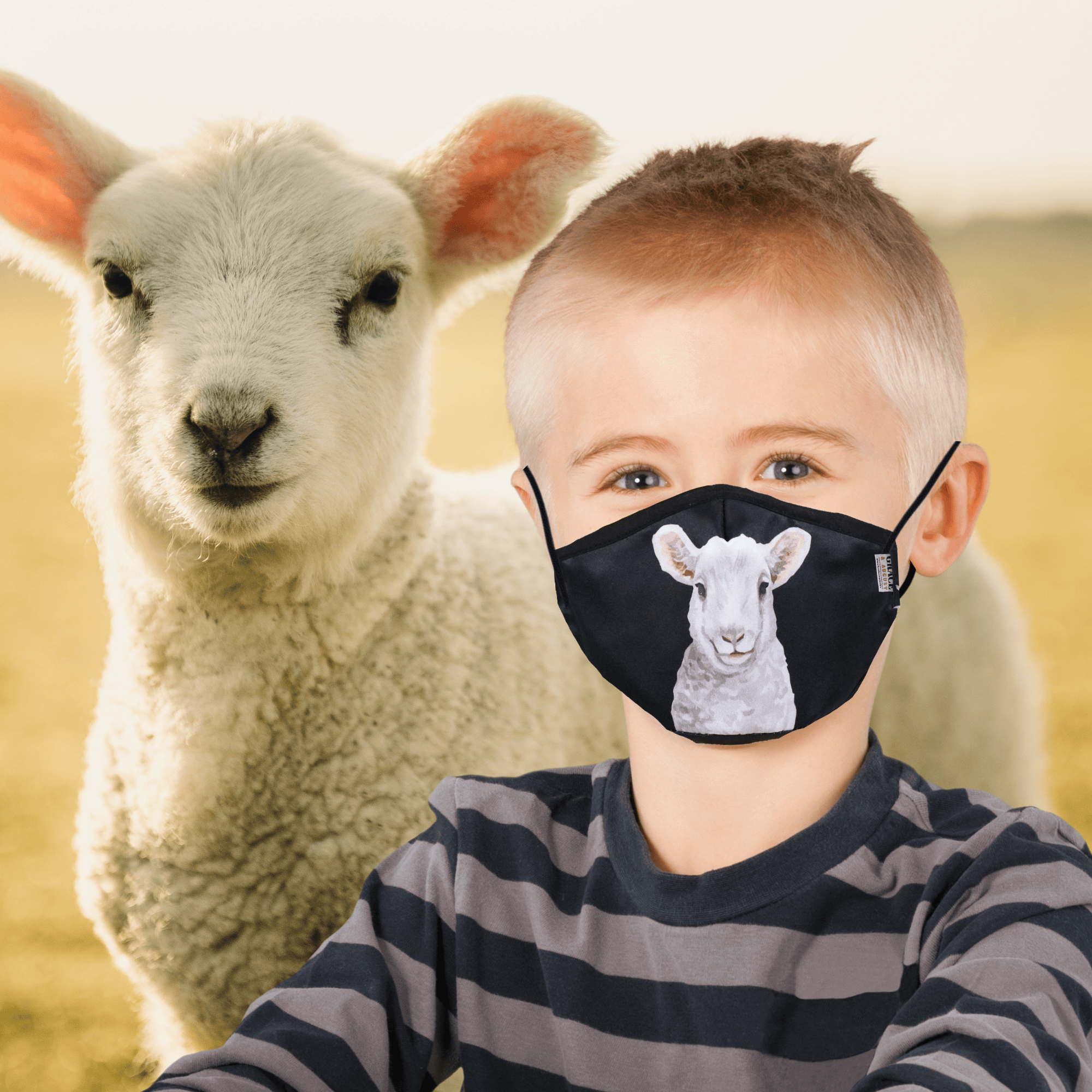NZ Edition Premium Child Face Mask Set - 3 Layer 100% Cotton Reusable Face Mask - Little Lamb Child Face masks