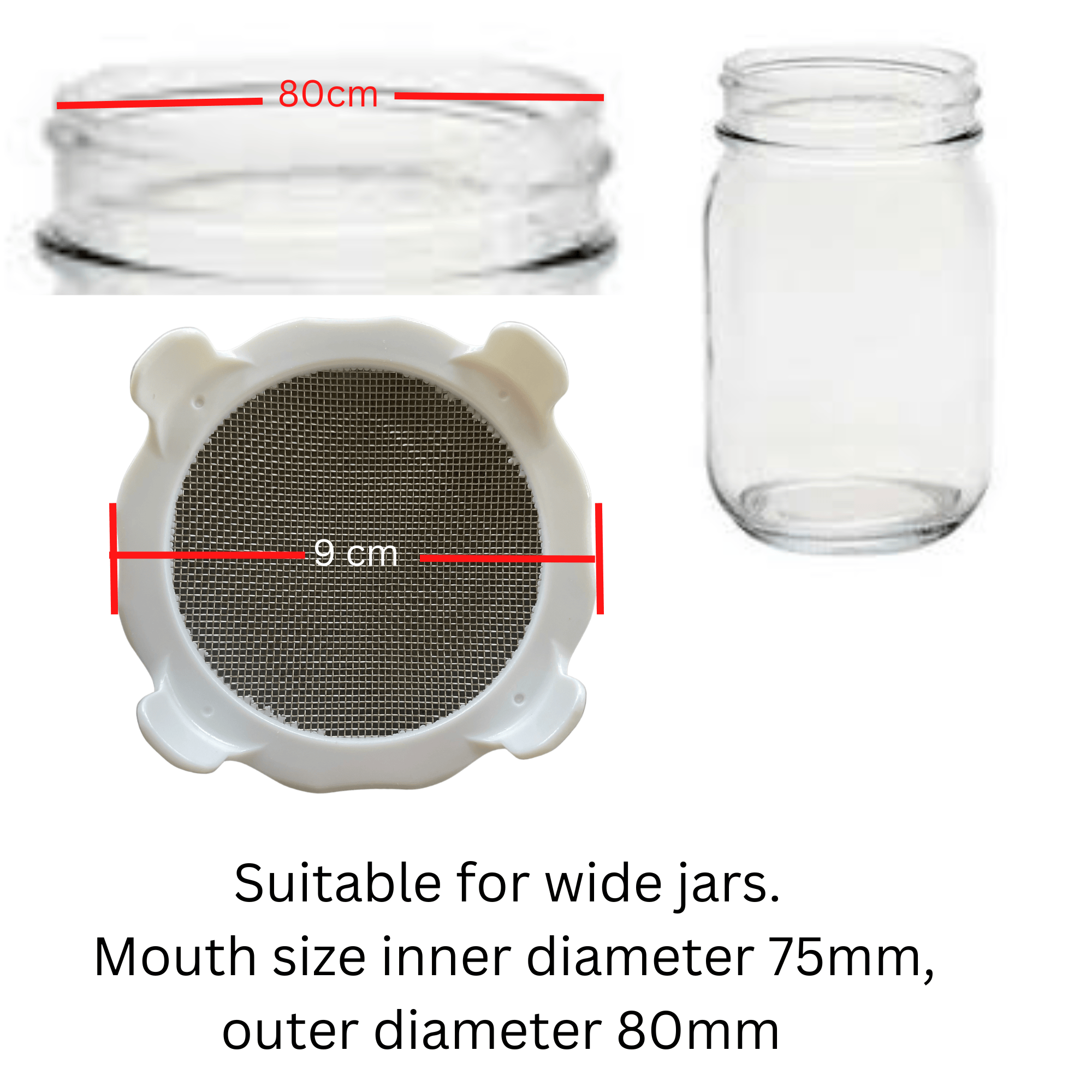 Sprouting Jar lids - Stainless Steel Screen for Wide Mouth Mason Jars - 2 Pack - Clearance Sprout Lids