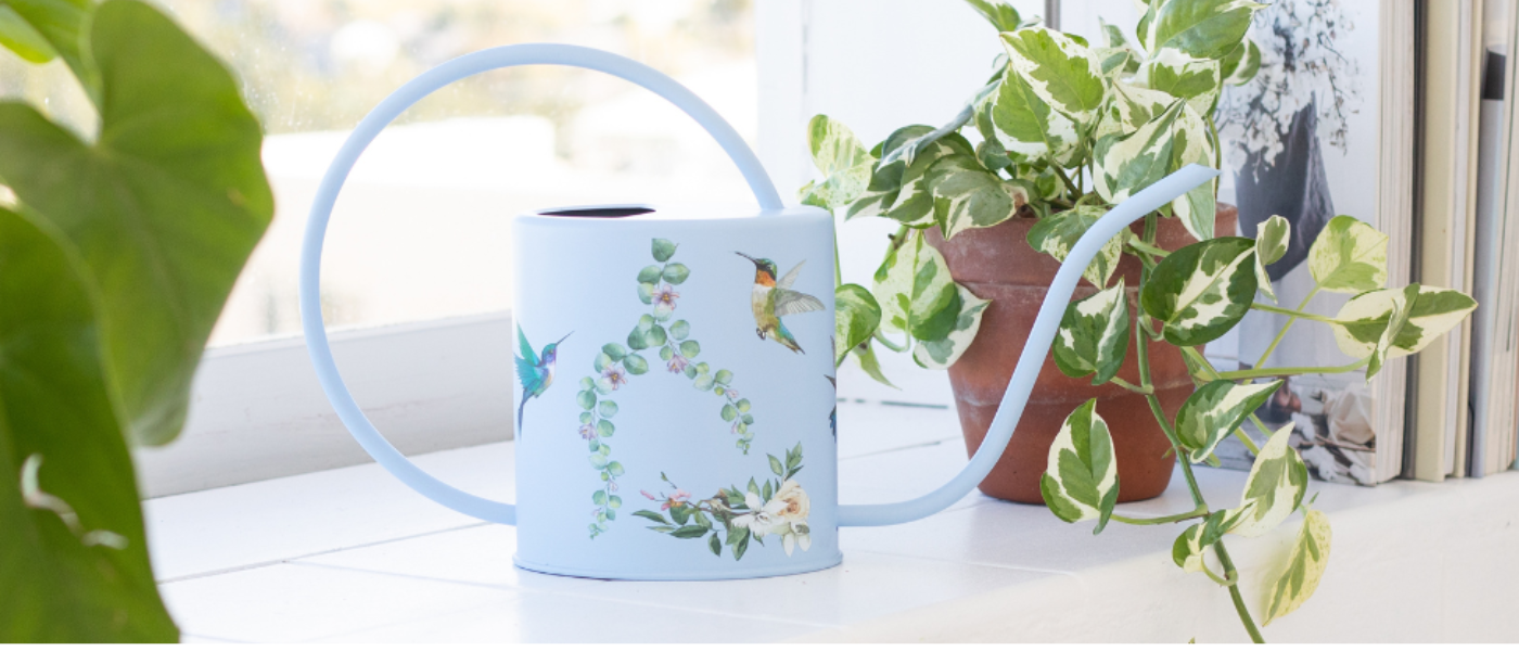 Indoor watering cans