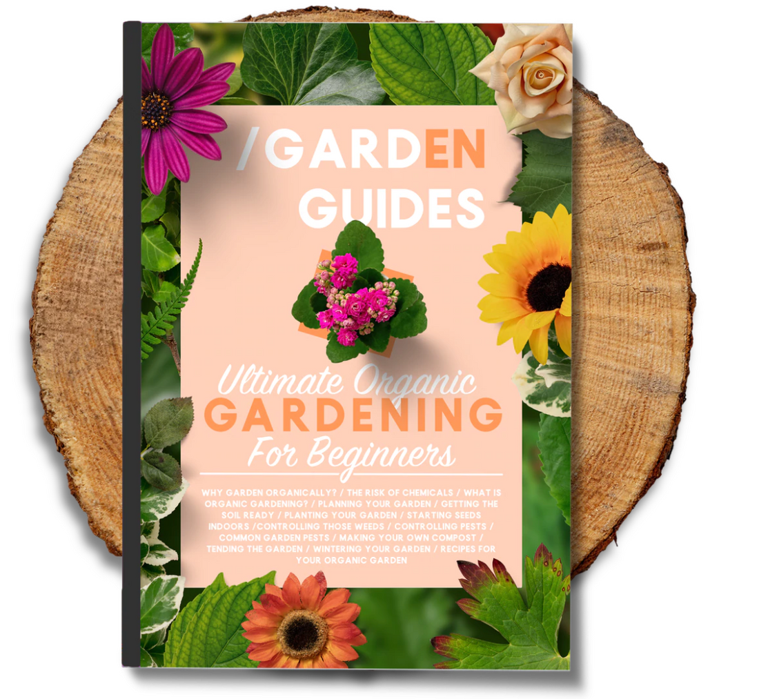 Digital Garden Guides