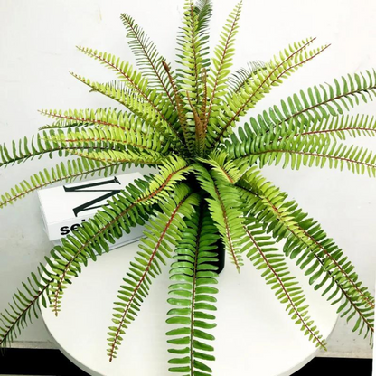 Fake fern large