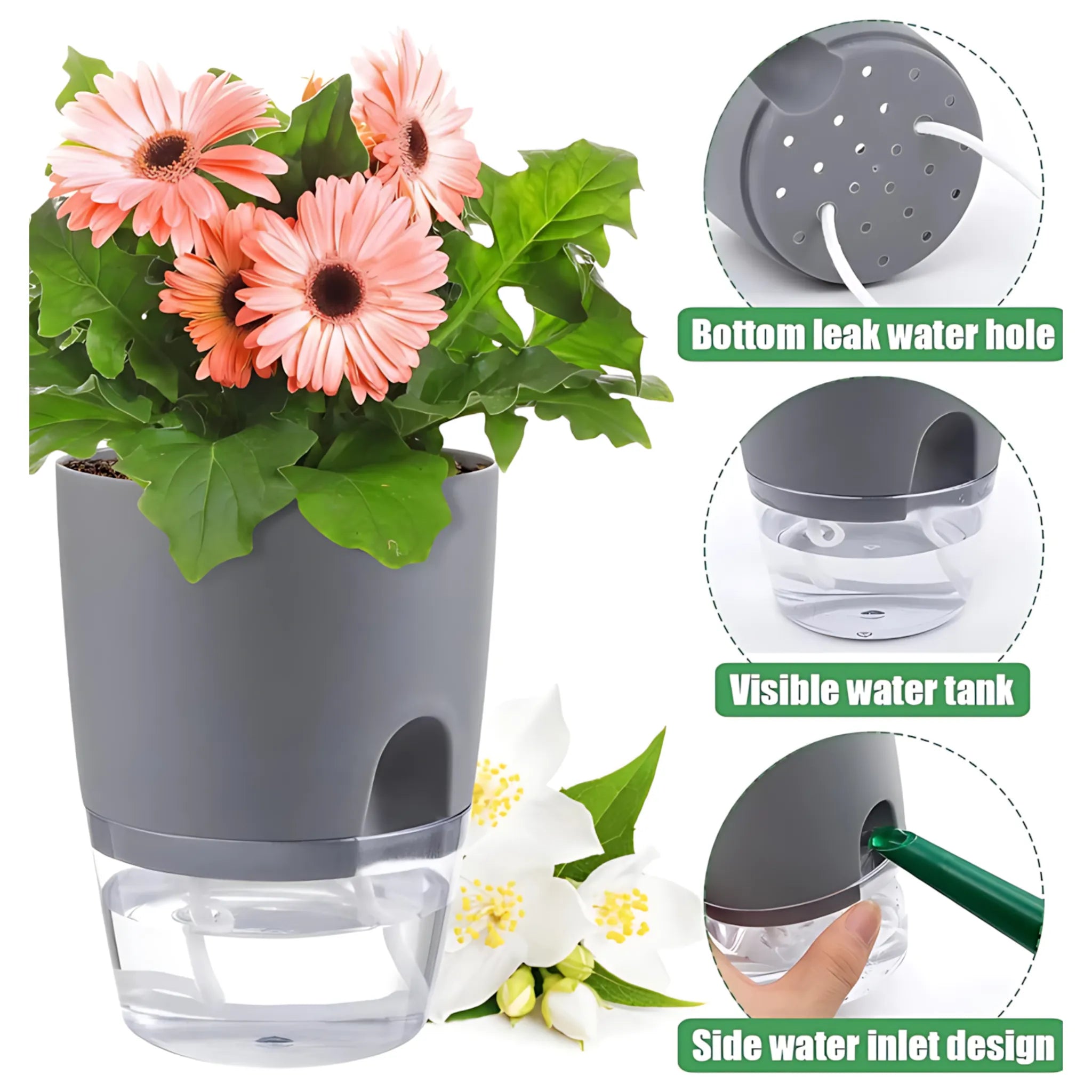 Self-watering system for plants