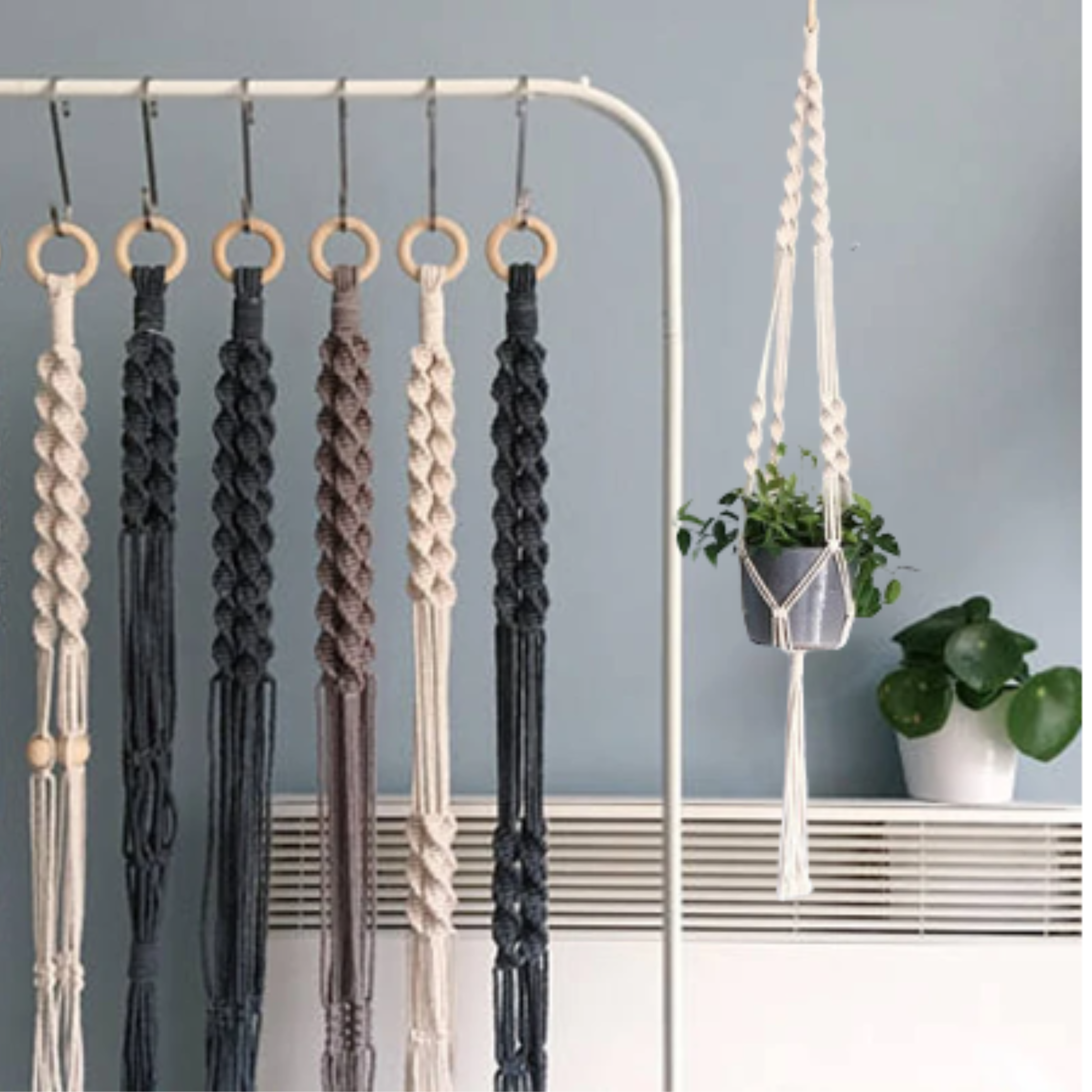 boho plant hanger