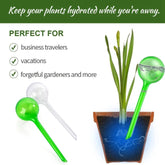 Indoor plant watering system