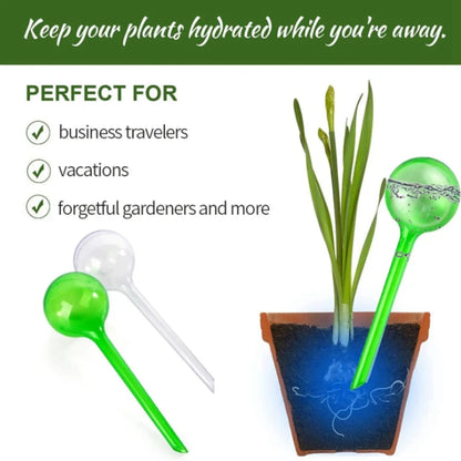 Indoor plant watering system