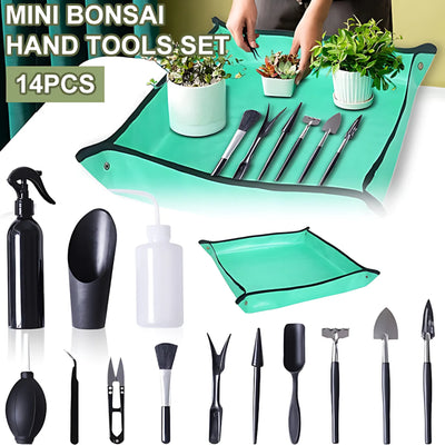 succulent tool kit