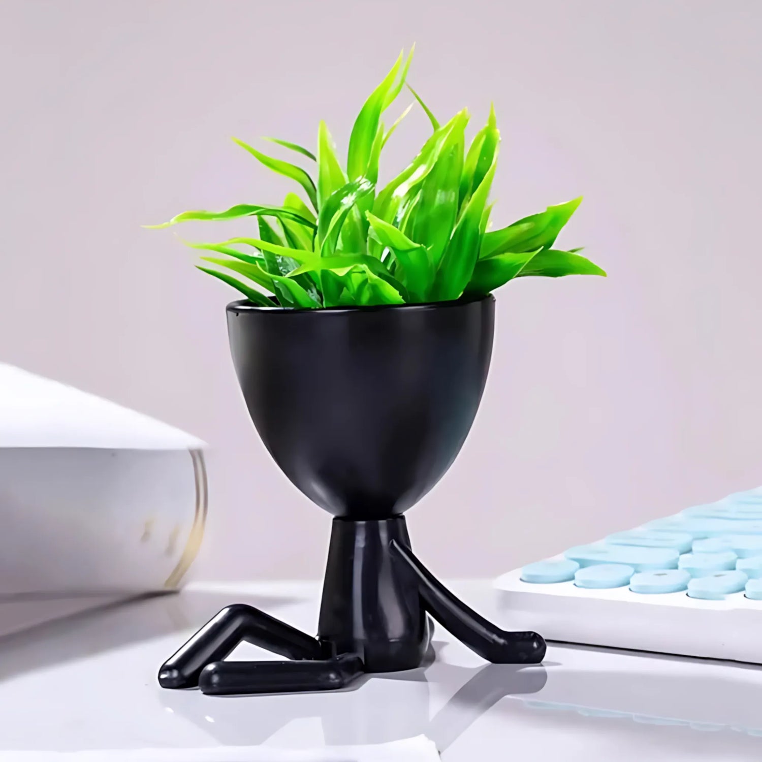 Plant Decor for Office