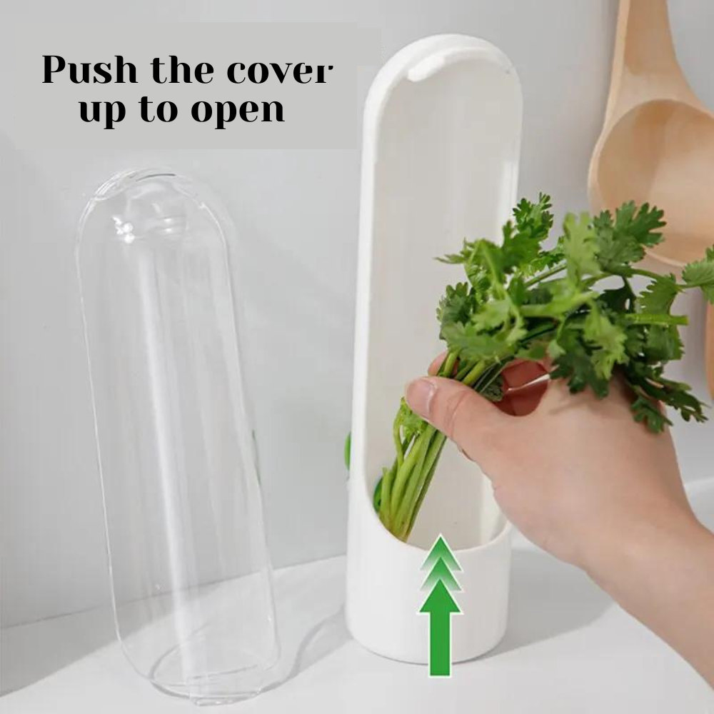 Kitchen Herb Organizer 