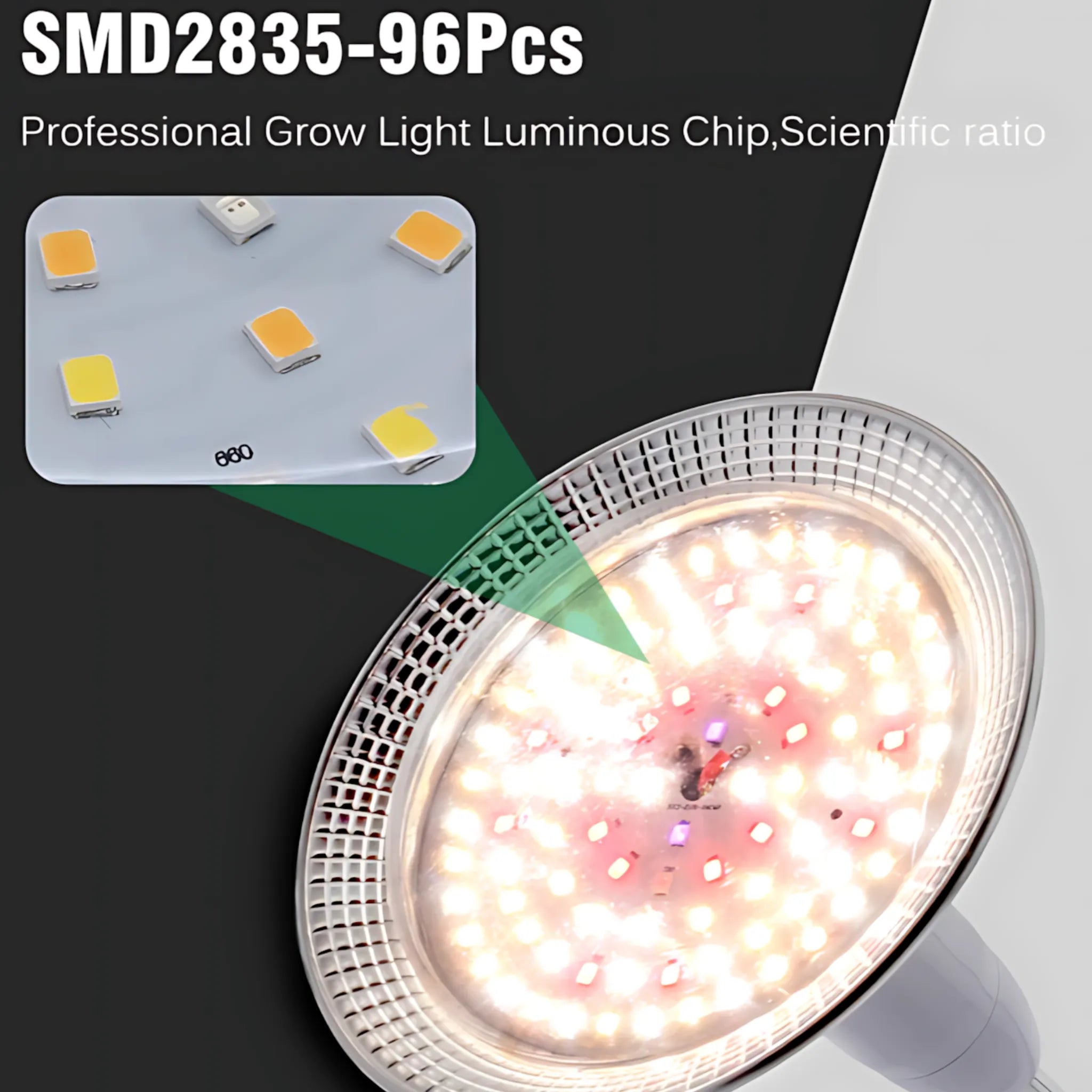 LED Phytolamp for Plants