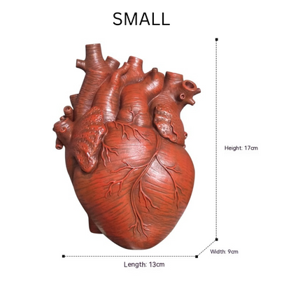 medical student gift