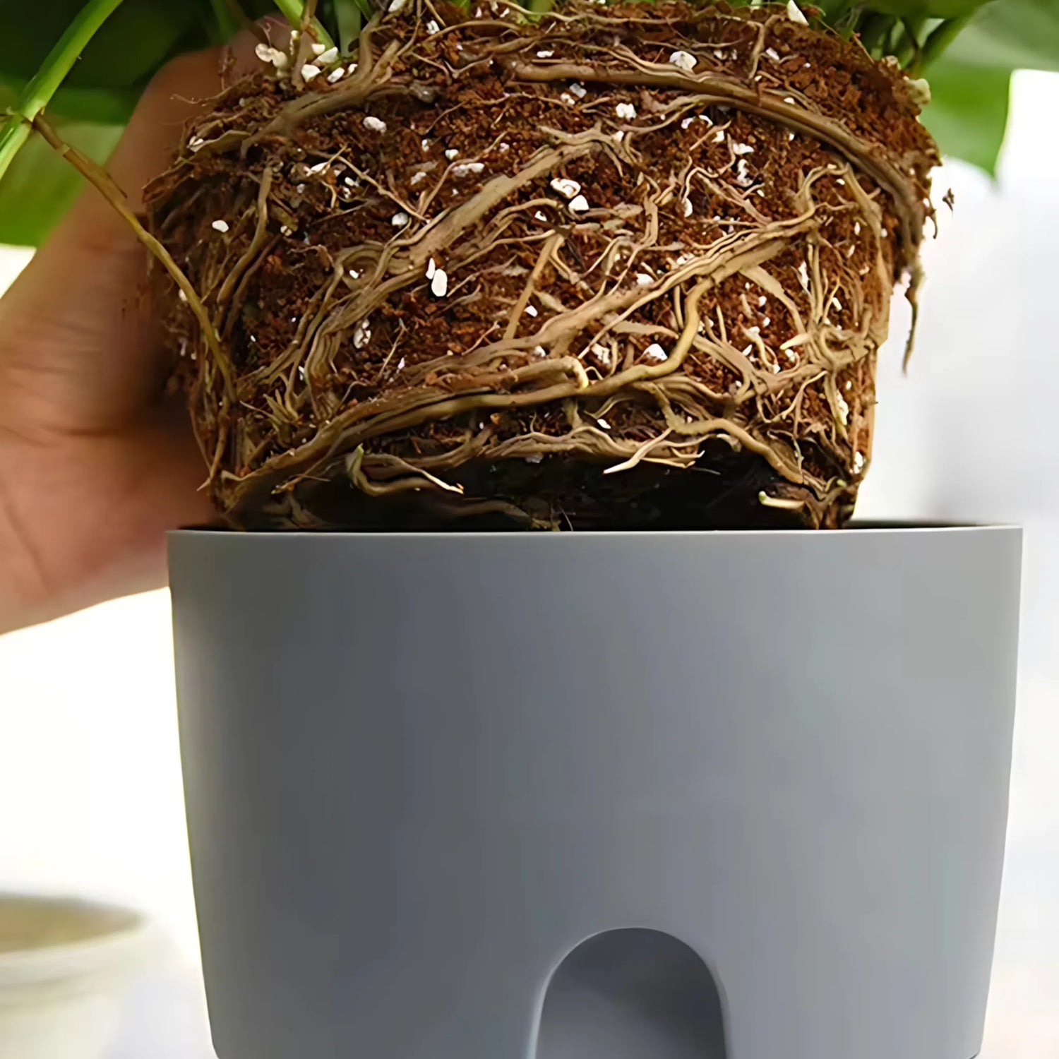 Modern plant pot