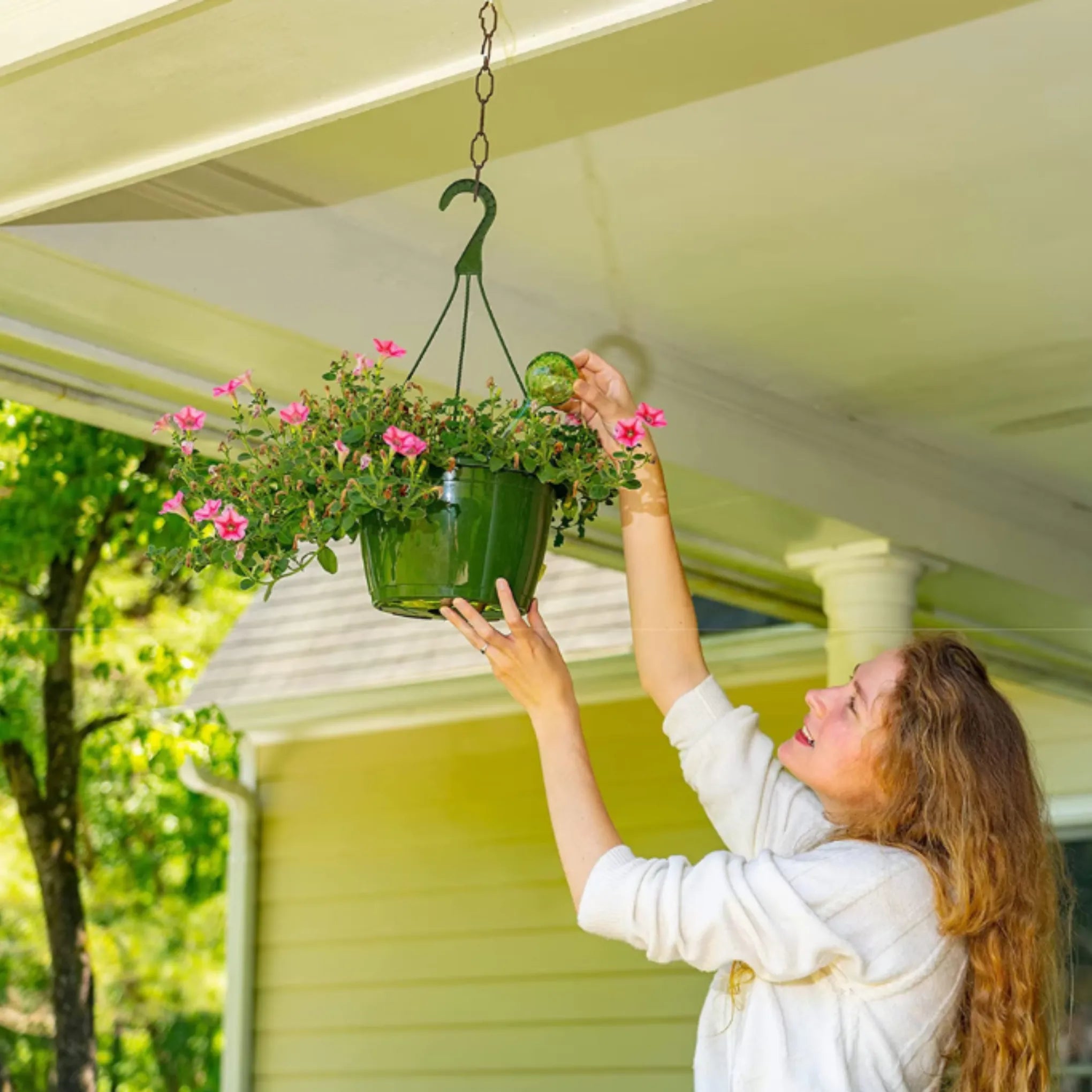 6pk watering globes