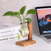 Wooden Stand Planters NZ