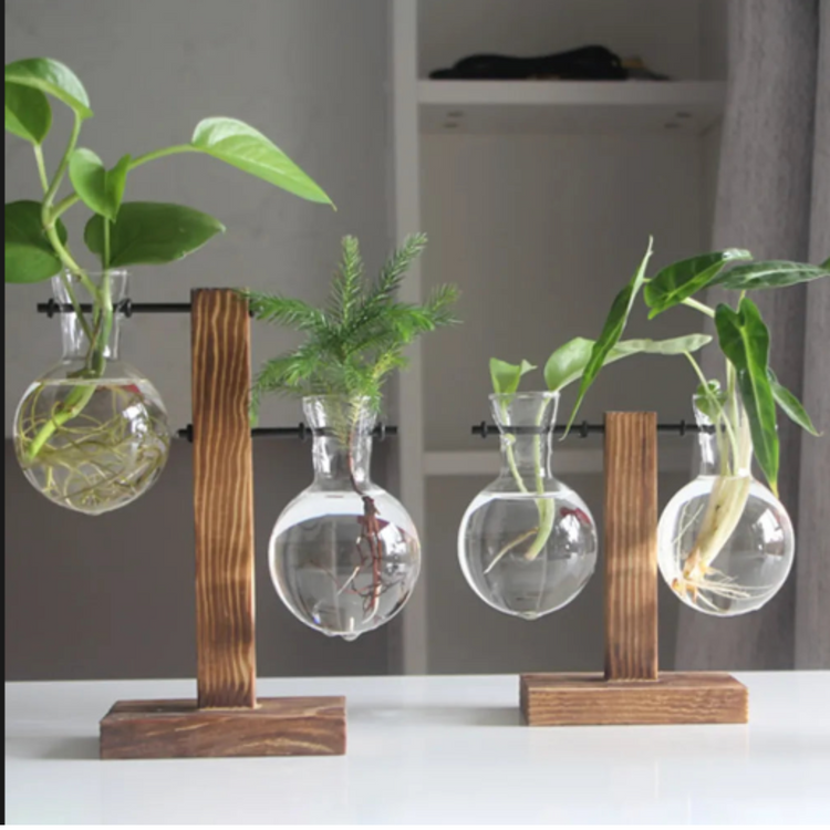 Borosilicate Glass Vases NZ
