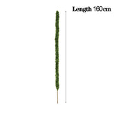 Indoor climbing plant stake