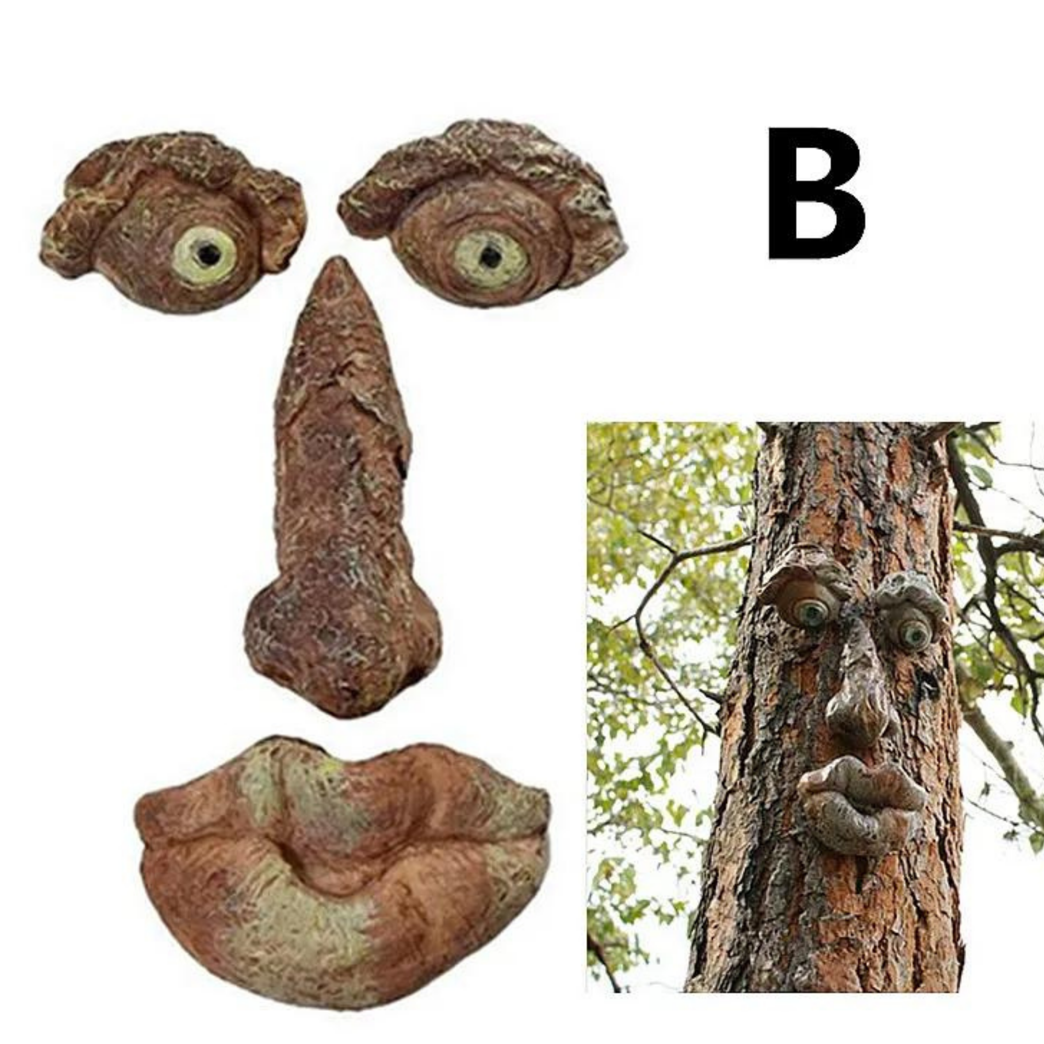 tree face