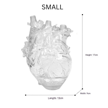 clear heart anatomical vase