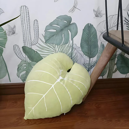 Aesthetic home cushion