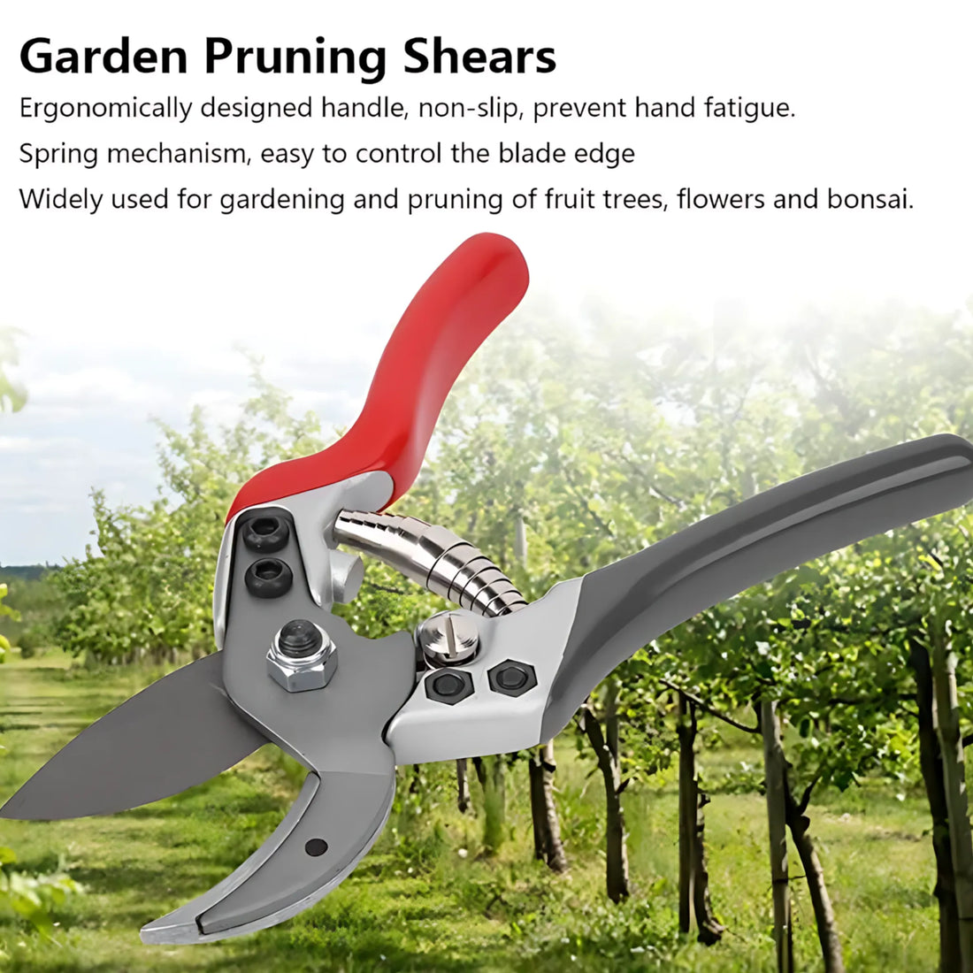 Tree pruning scissors