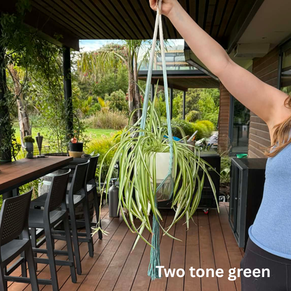 Handmade Macramé Plant Hanger – Limited Stock