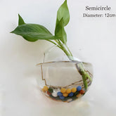 Terrarium Glass Vase