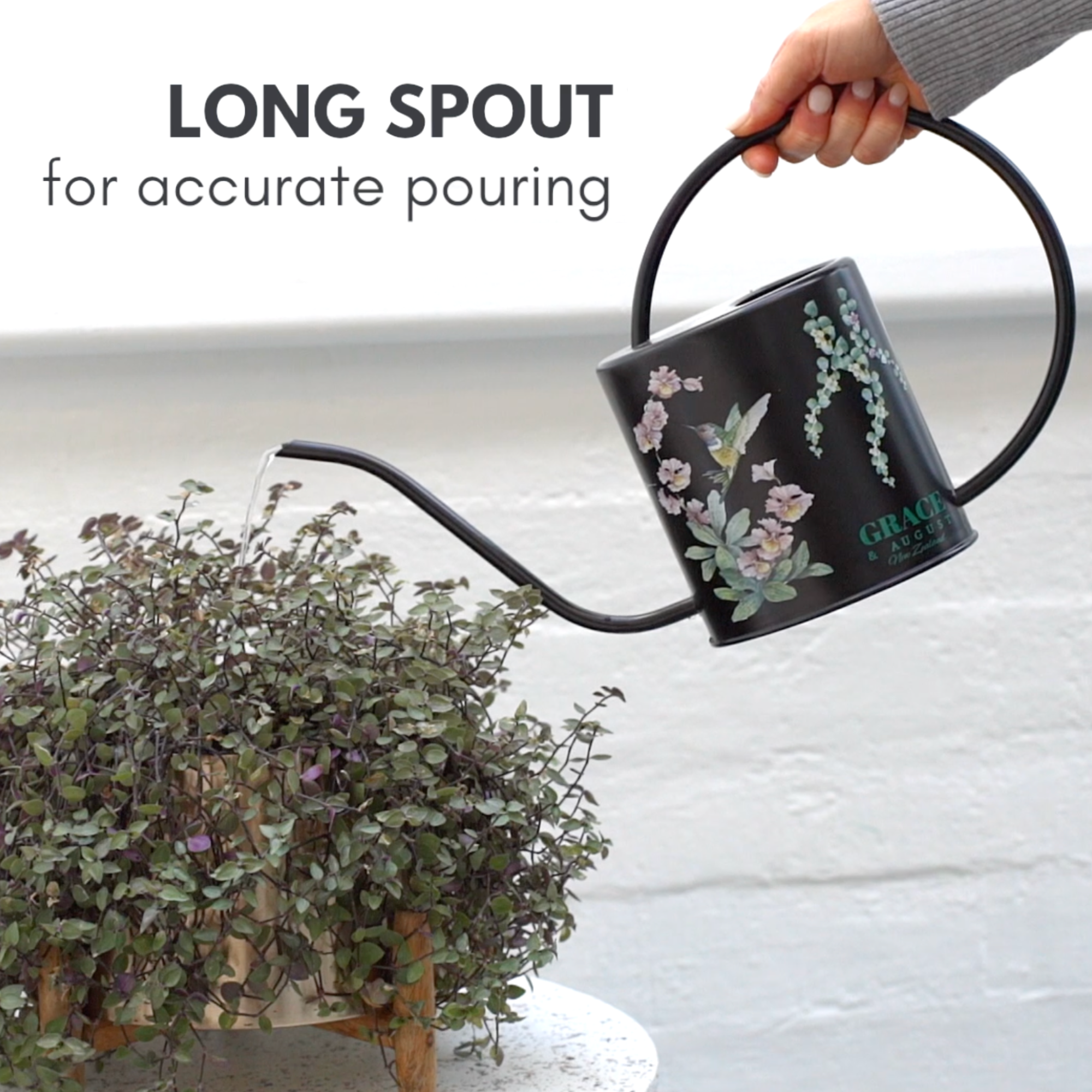 Black Hummingbird Watering Can – 1.5L Stainless Steel Indoor Plant Watering Can - Clearance Item