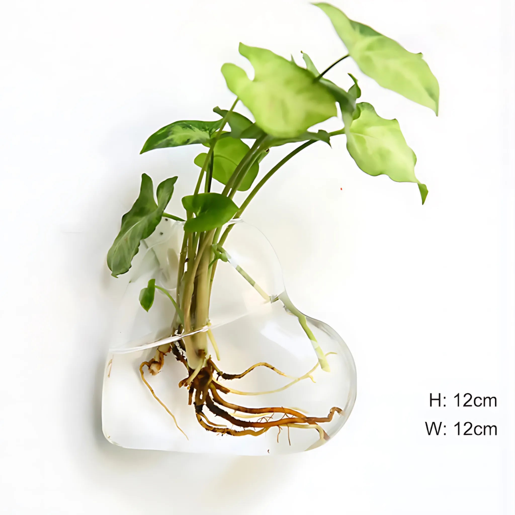 Floating Glass Vase