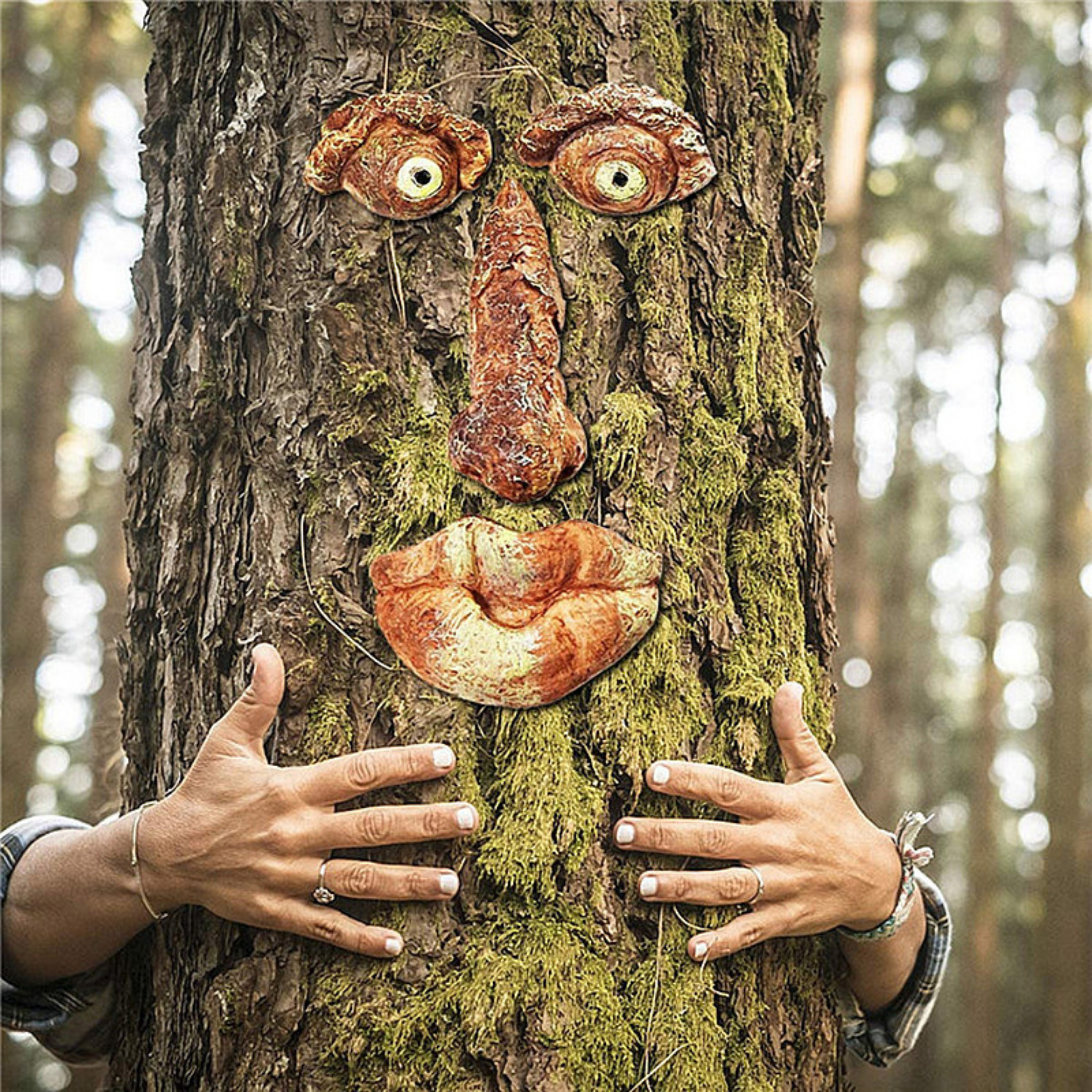 whimsical tree face