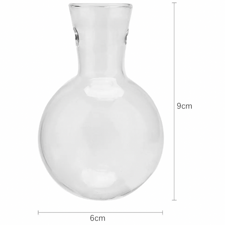 Hydroponic Vase NZ