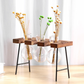 "Versatile Wooden Stand Plant Terrarium – Nature’s Elegance Collection"