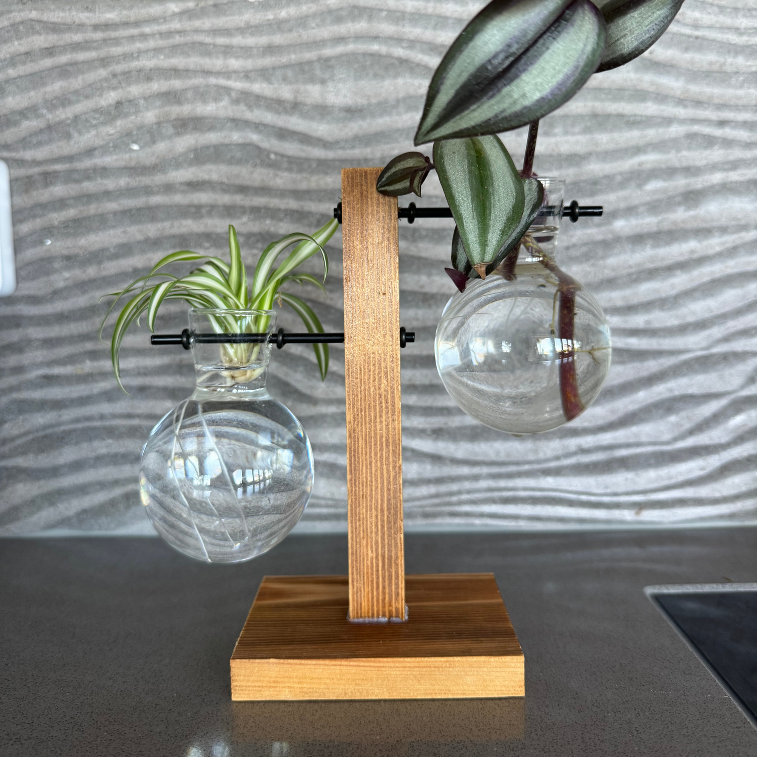 Glass Vase Displays NZ 