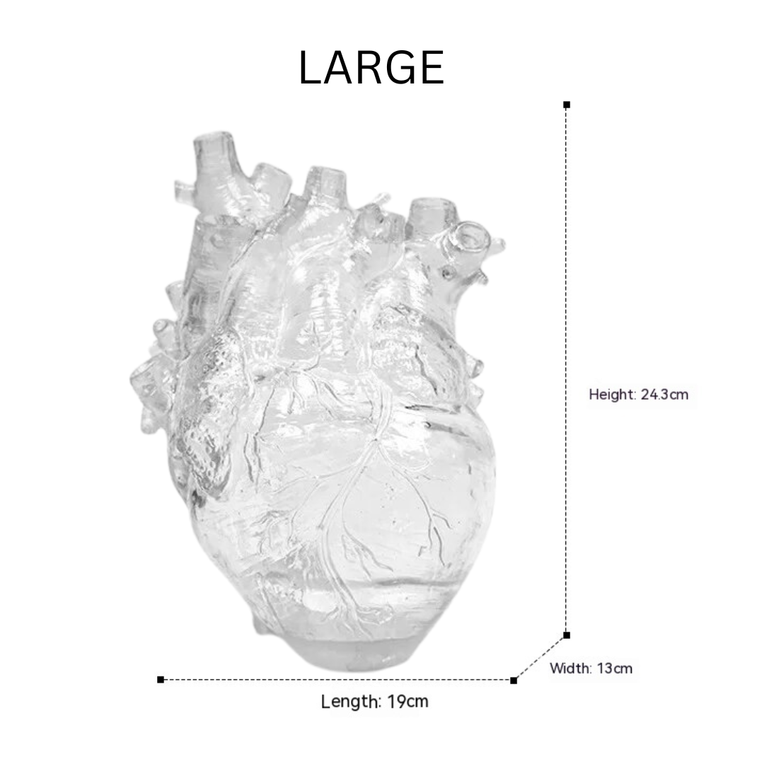 heart shaped vase for medical students