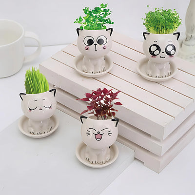Cat planter