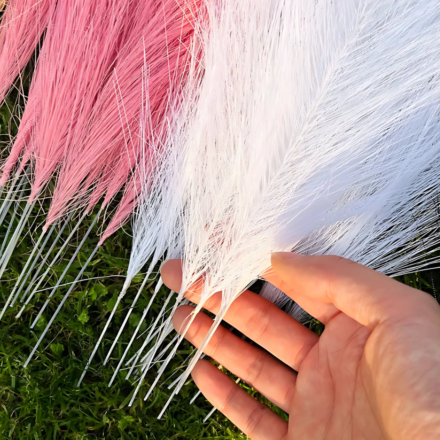 Dried Pampas Grass Decor