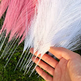Dried Pampas Grass Decor