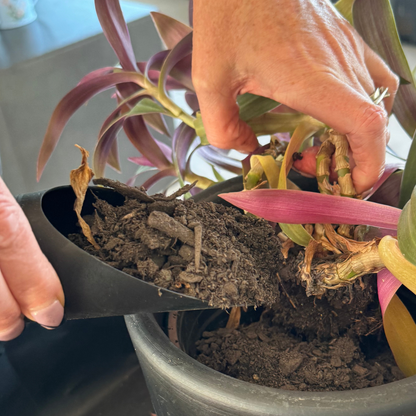 Indoor Planting Soil Scoop – Clearance