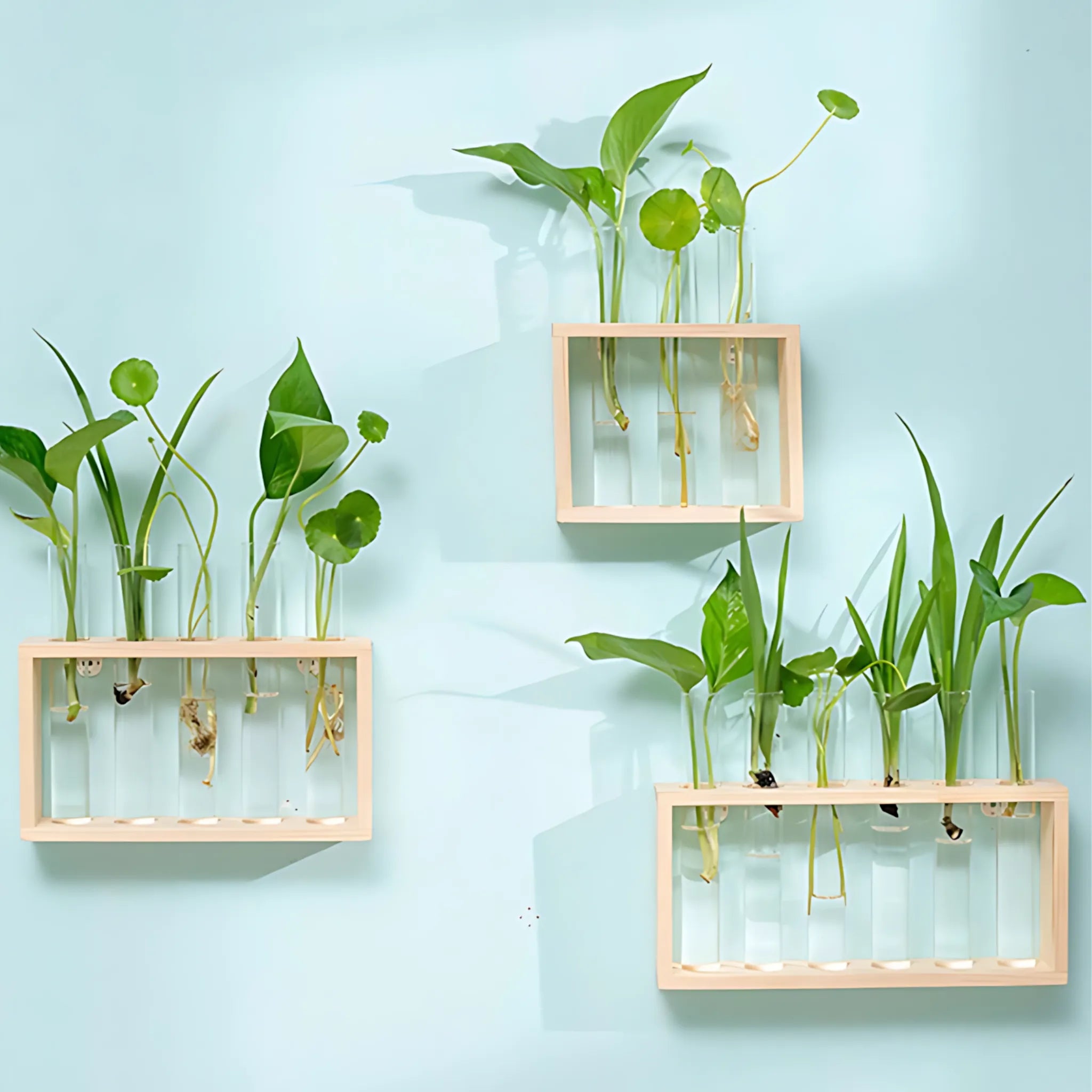 Hydroponic Plant Vases