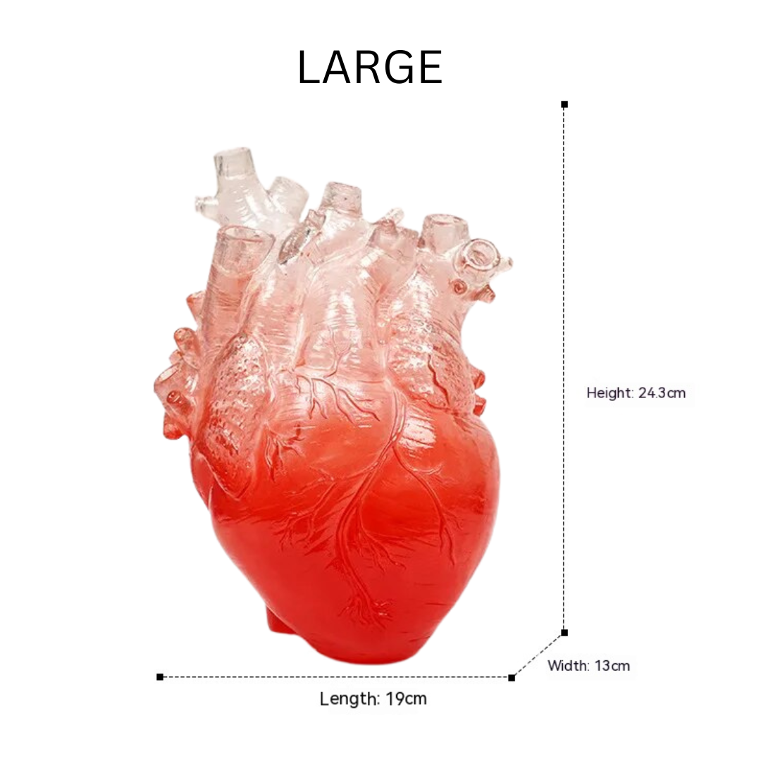 Large anatomical heart vase