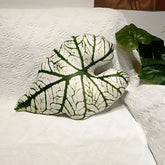 Leaf throw pillow