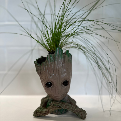 groot planters