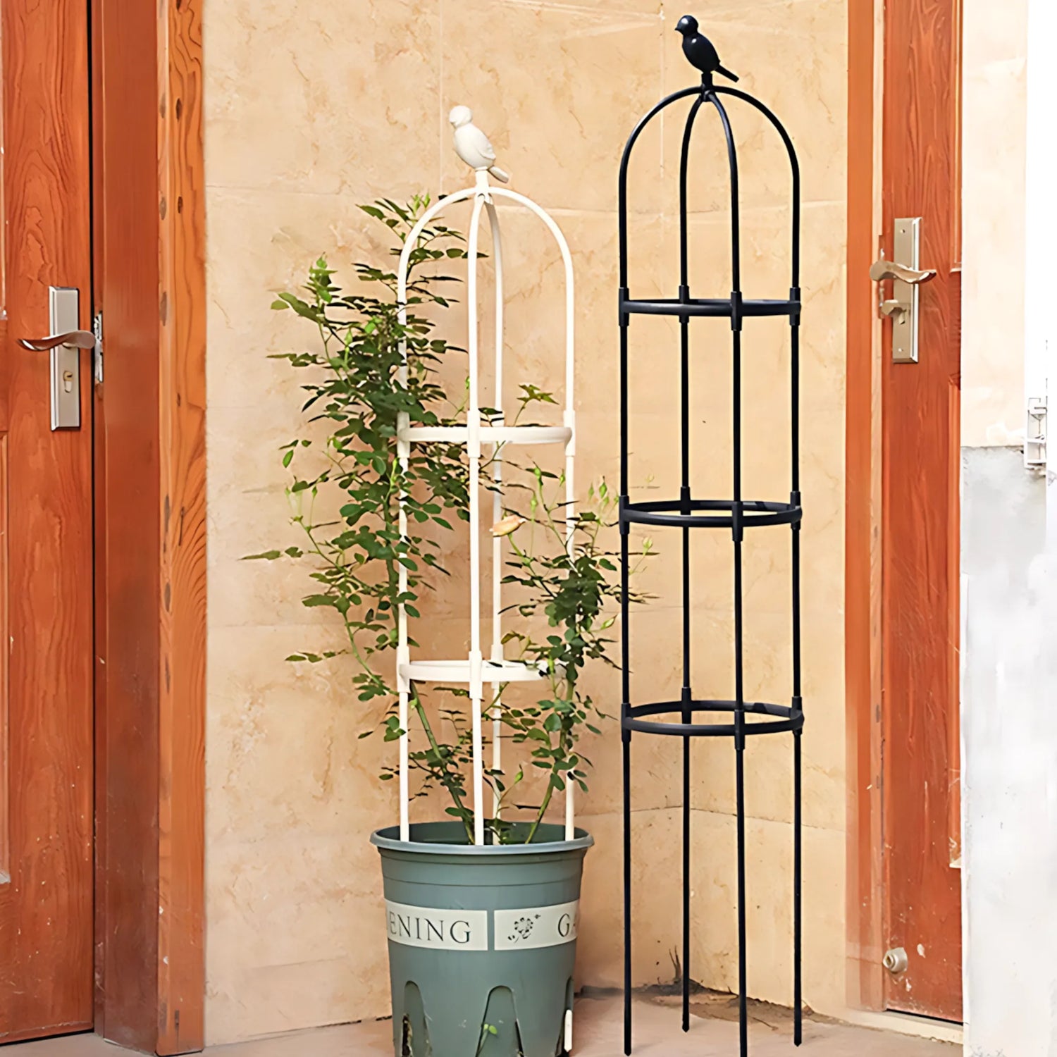 Outdoor Trellis